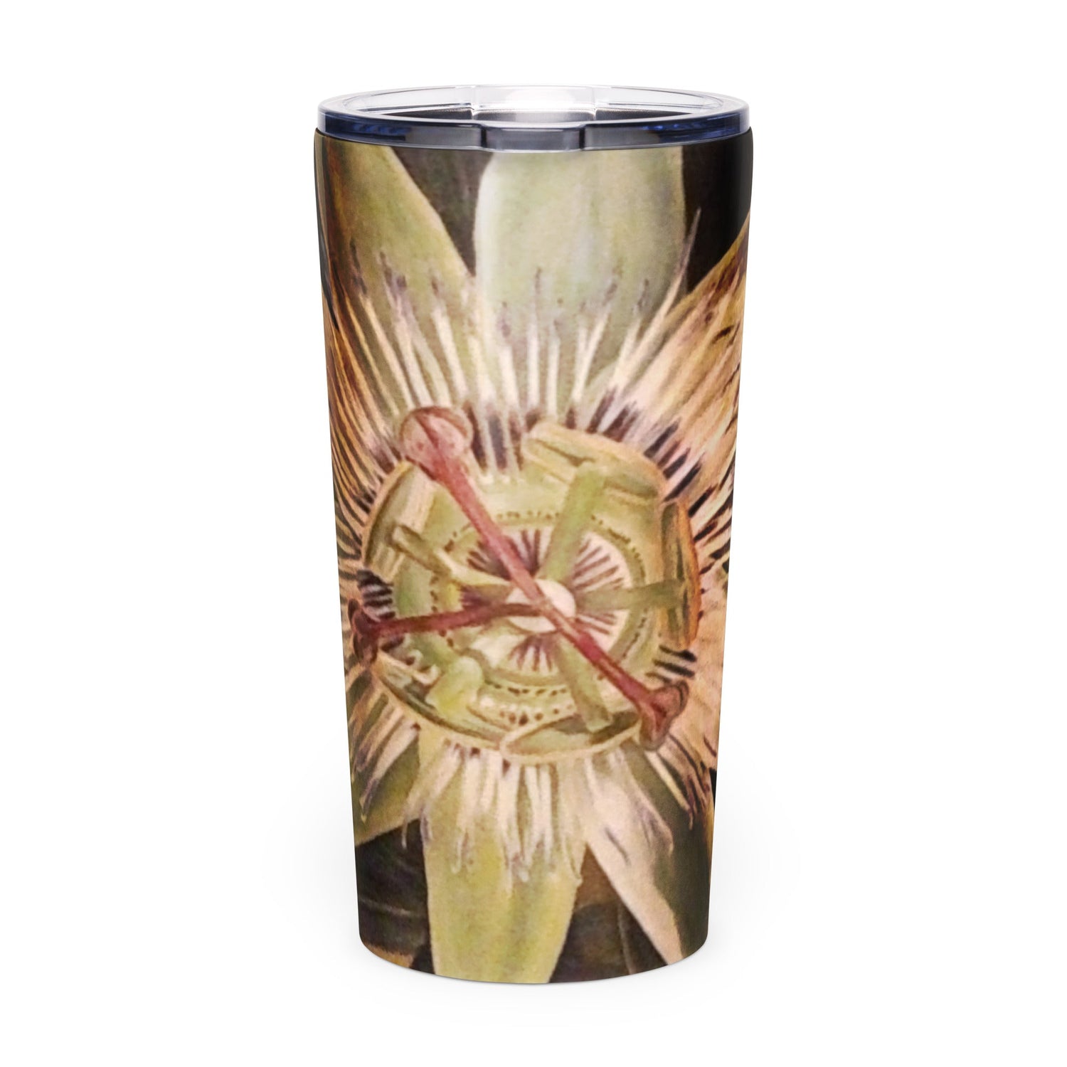 Beverage mugs & Tumblers